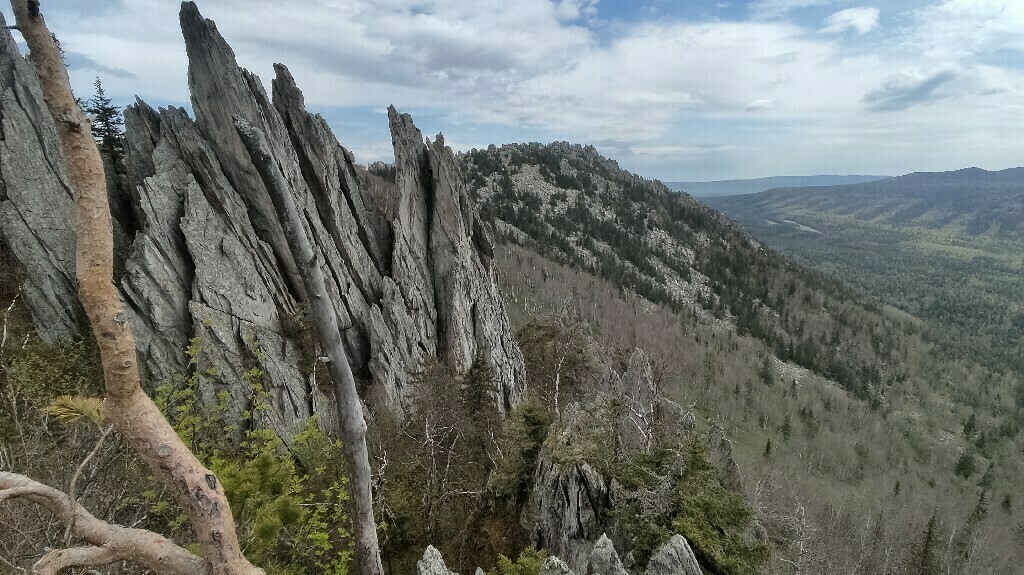 undefined, отзывы покупателей, фото 6