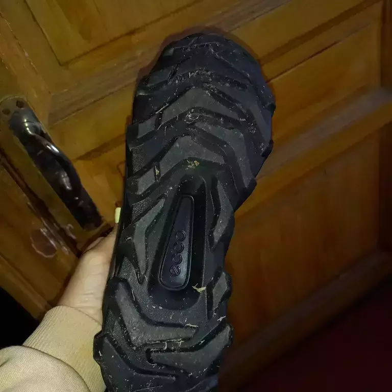 ECCO MX M