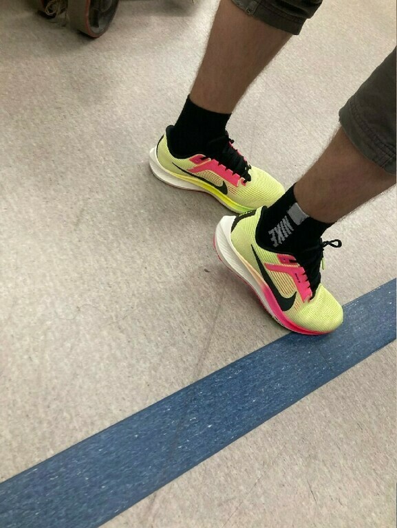Кроссовки мужские Nike Air Zoom Pegasus 40 Prm, отзывы покупателей, фото 1