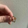review photo mini