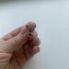 review photo mini
