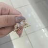 review photo mini
