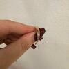 review photo mini