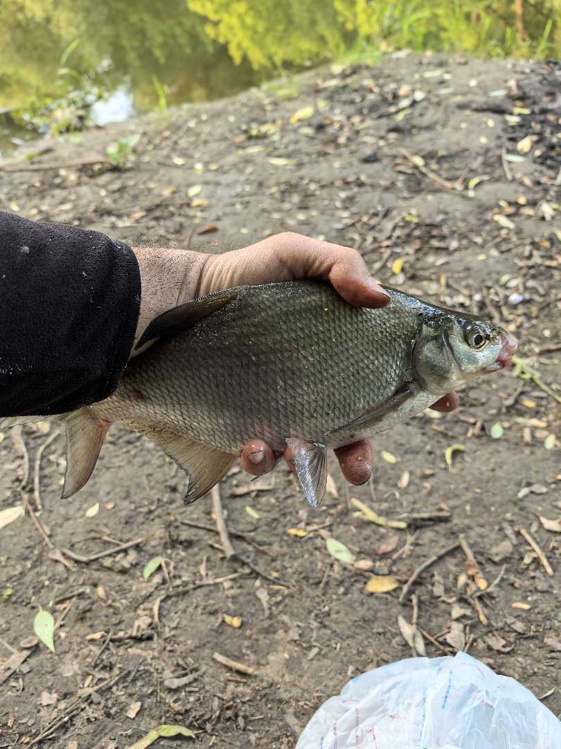 фото отзыва от пользователя