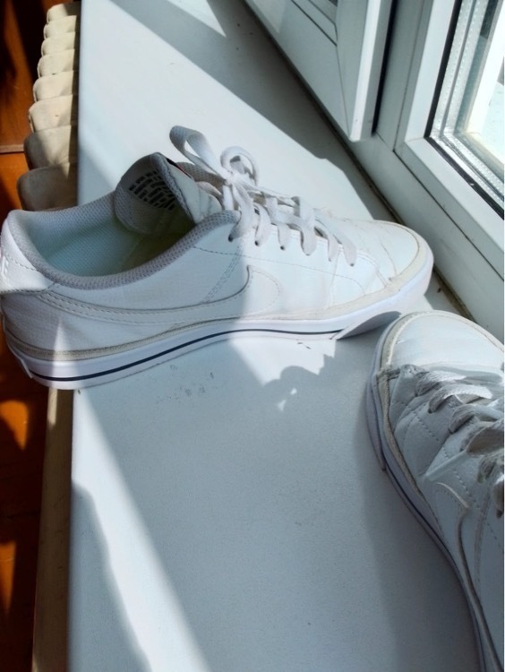 Кеды женские Nike Court Legacy Next Nature, отзывы покупателей, фото 1