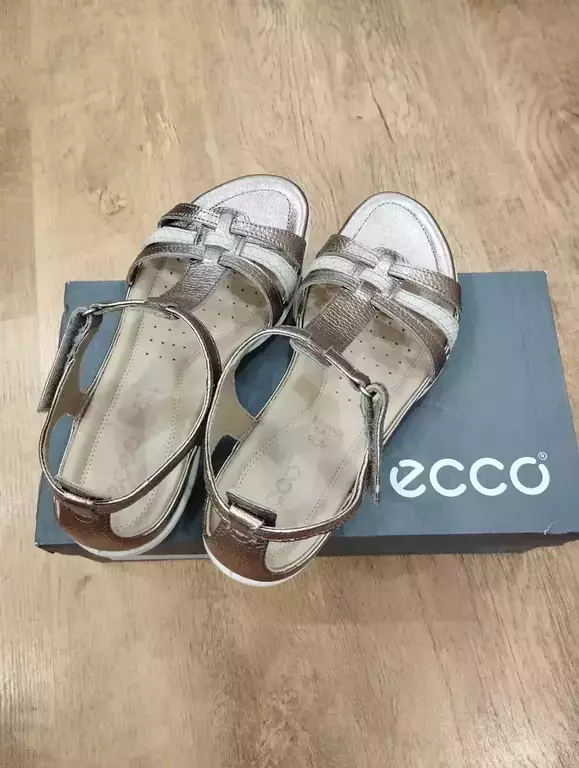 ECCO FLASH