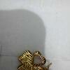 review photo mini