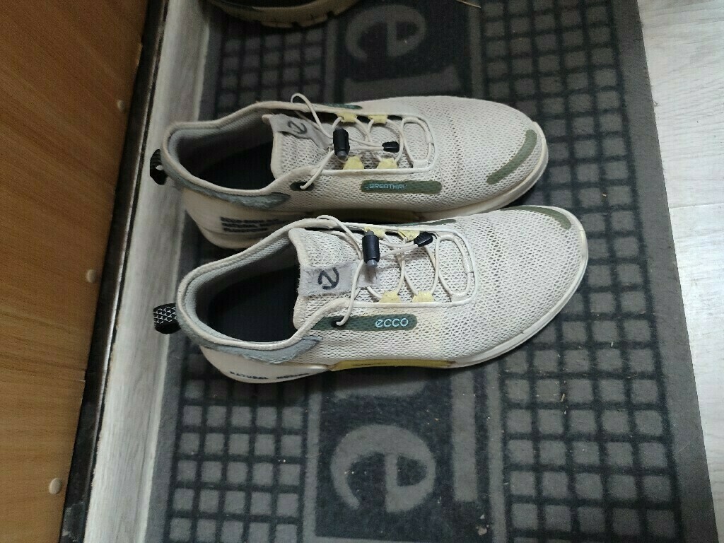 Кроссовки мужские Ecco Biom 2.0, отзывы покупателей, фото 1