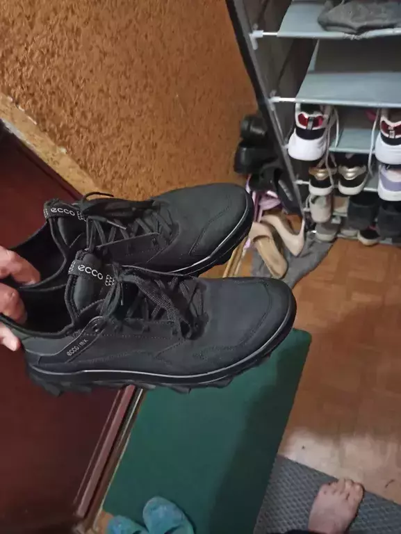 ECCO MX M