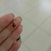 review photo mini