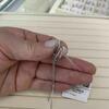 review photo mini