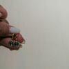 review photo mini
