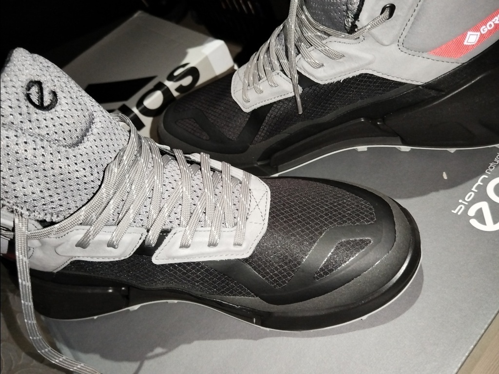 ECCO BIOM 2.1 X MOUNTAIN M