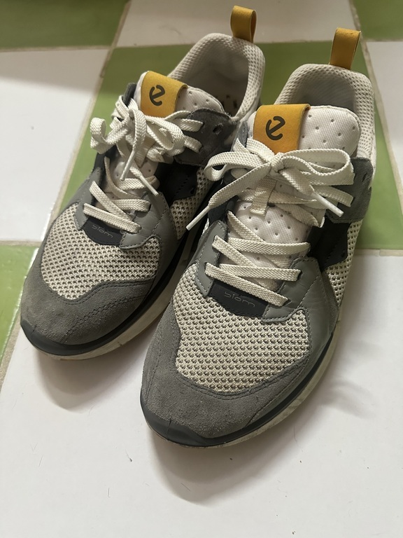 ECCO BIOM 2.2 M