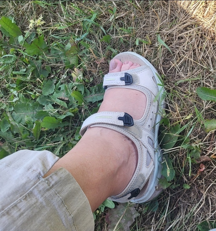 ECCO OFFROAD