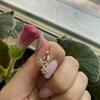 review photo mini
