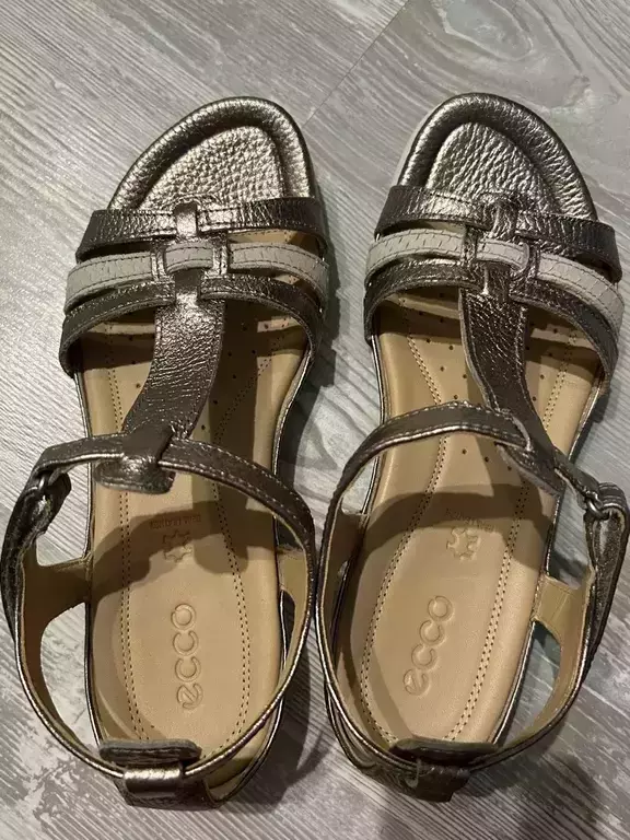 ECCO FLASH