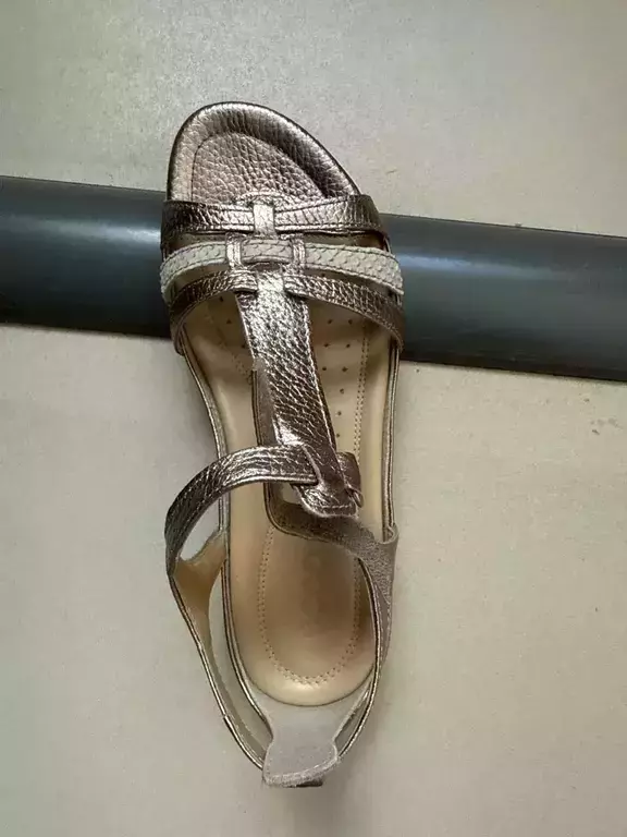 ECCO FLASH
