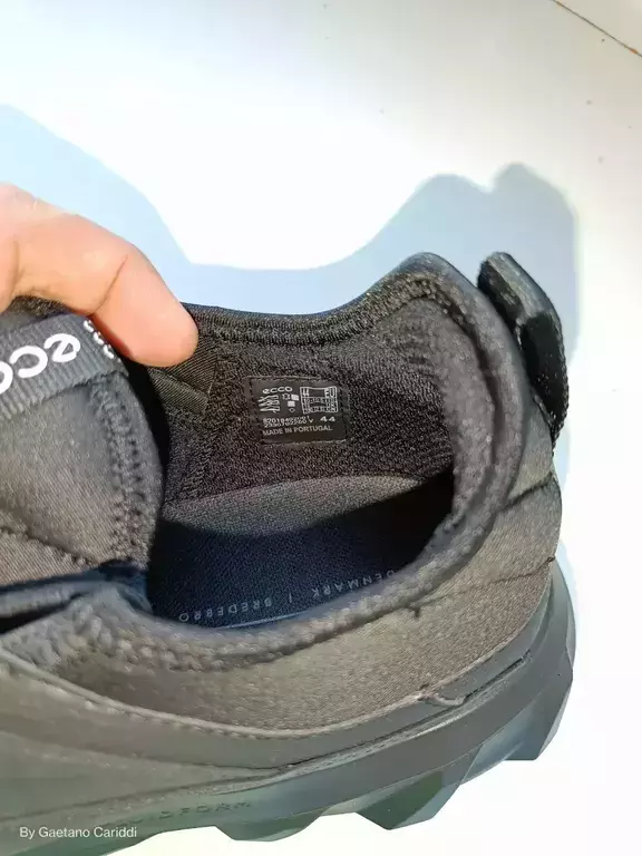 ECCO MX M