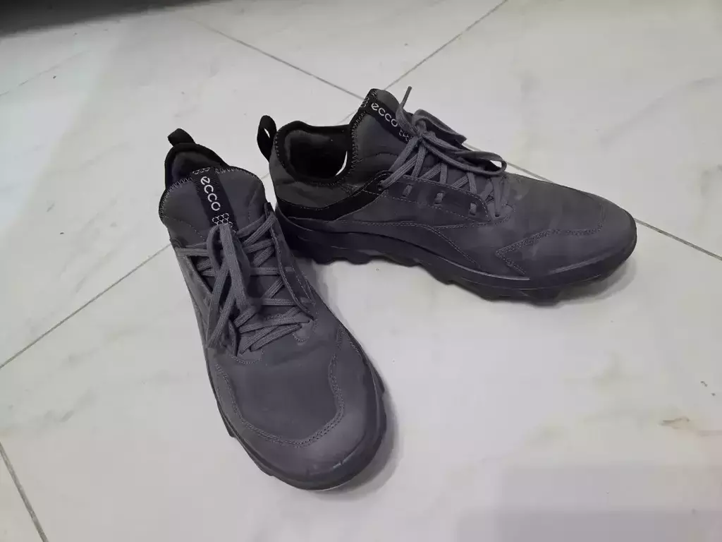 ECCO MX M