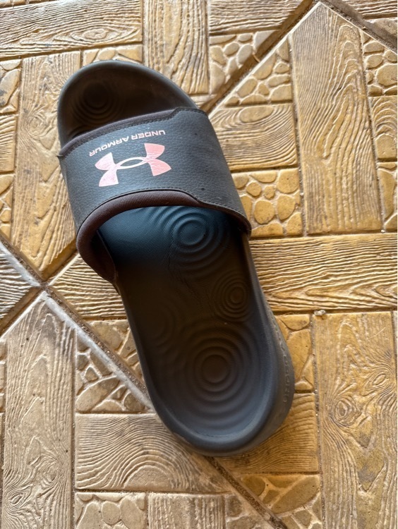 Шлепанцы женские Under Armour Ua W Ignite Select, отзывы покупателей, фото 1