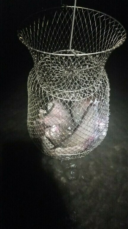 undefined, отзывы покупателей, фото 1