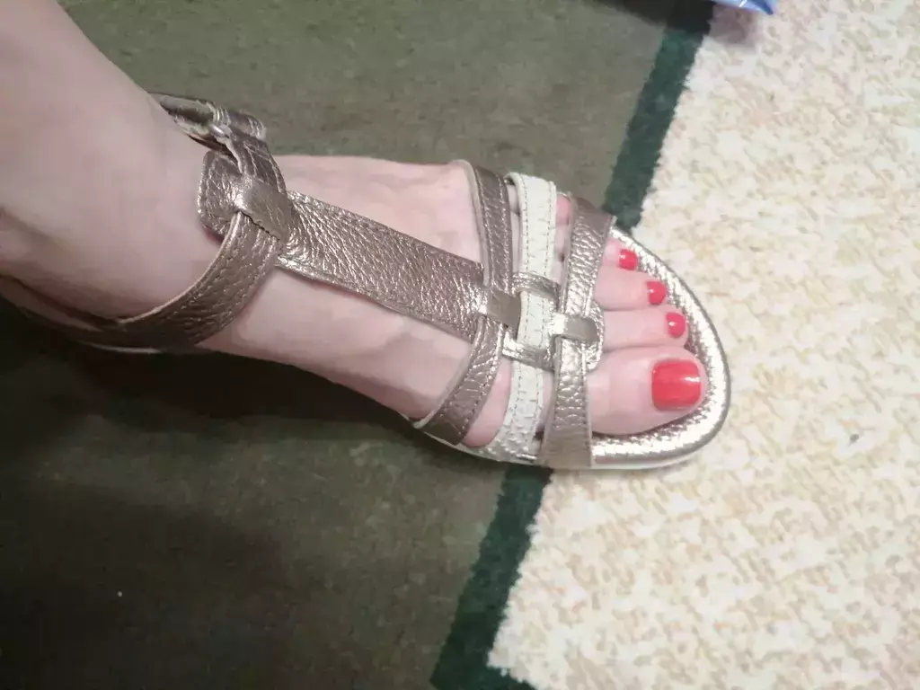 ECCO FLASH