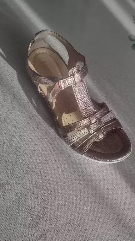 ECCO FLASH