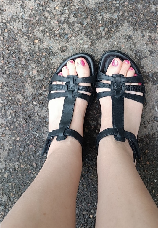 ECCO FLASH