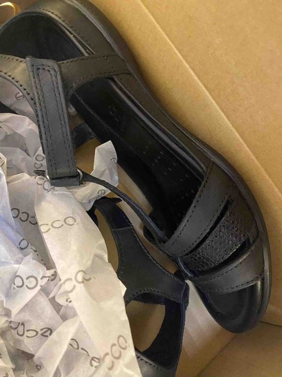 ECCO FLASH