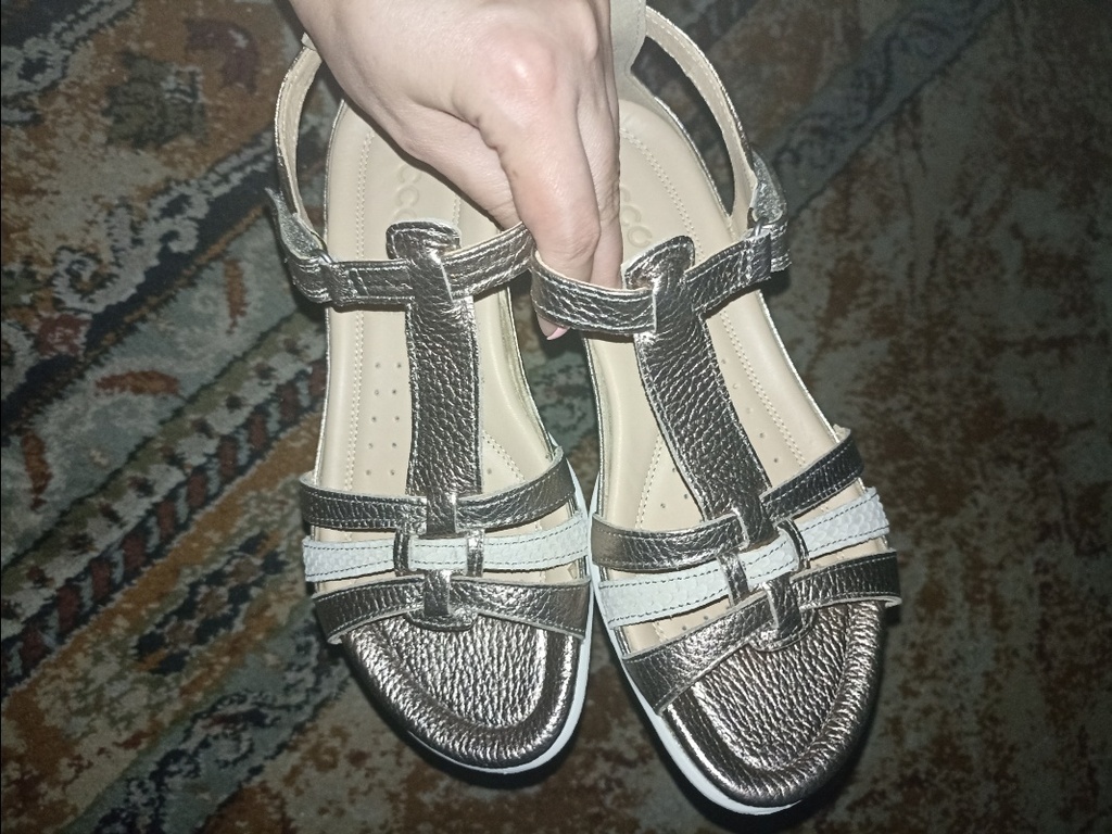 ECCO FLASH