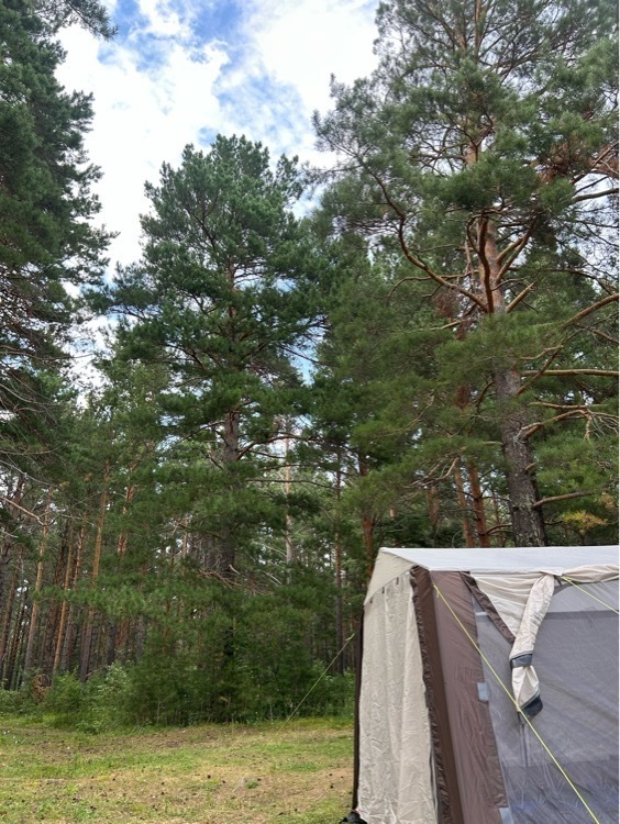 undefined, отзывы покупателей, фото 3