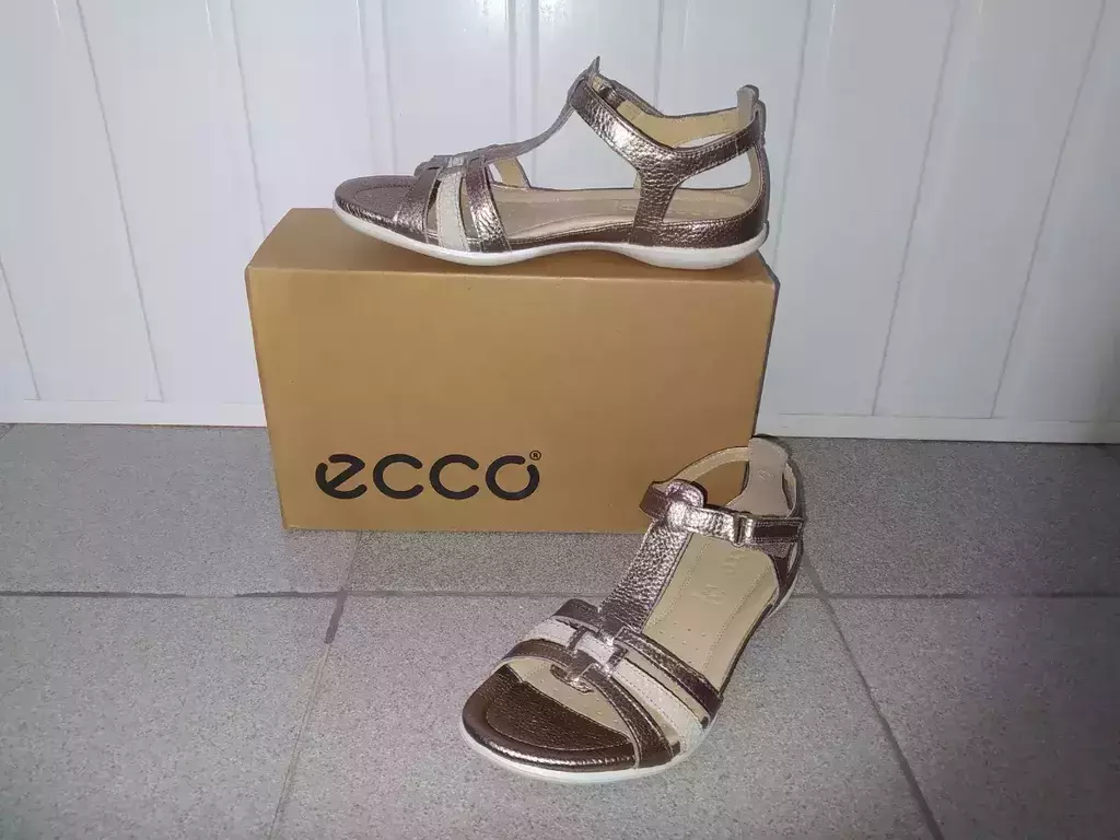 ECCO FLASH