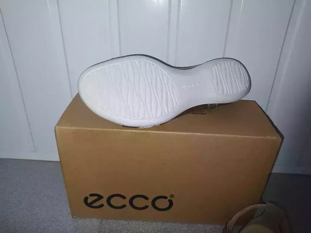 ECCO FLASH