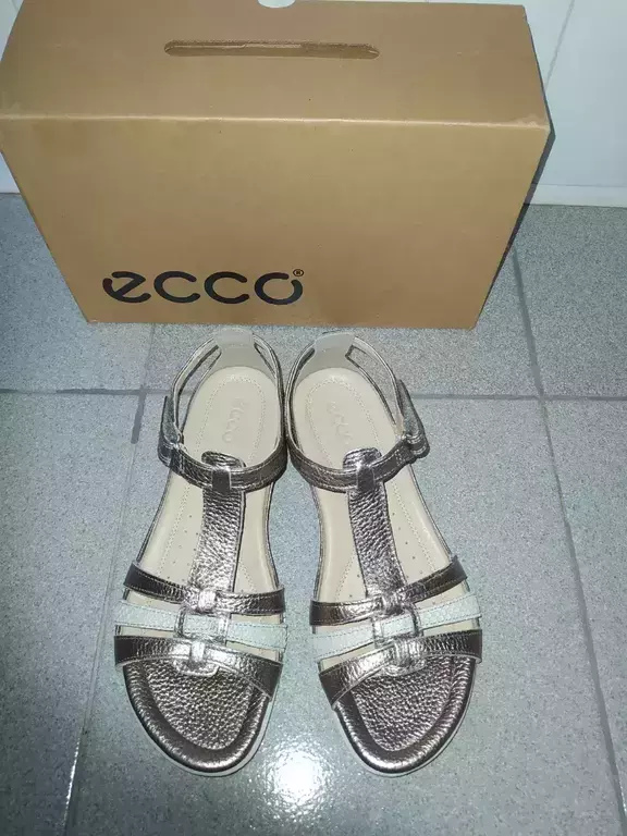 ECCO FLASH