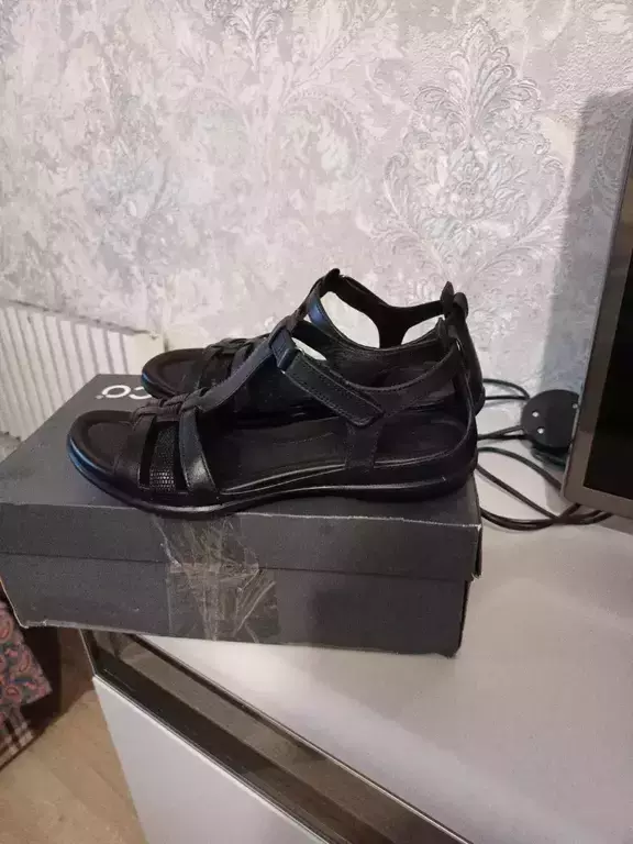 ECCO FLASH