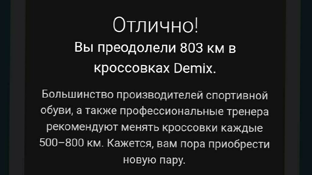 Кроссовки мужские Demix Pacer Enrlitepro, отзывы покупателей, фото 1