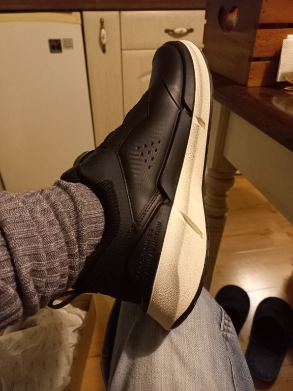 ECCO BIOM 2.2 W ECCO BIOM 2.2 W