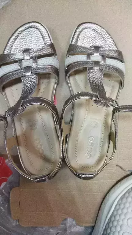 ECCO FLASH