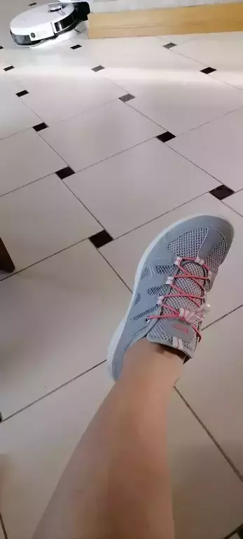 ECCO TERRACRUISE LT W