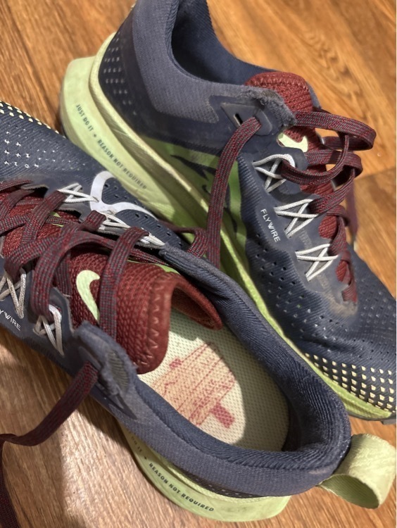 Кроссовки женские Nike Pegasus Trail 4, отзывы покупателей, фото 3