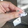 review photo mini