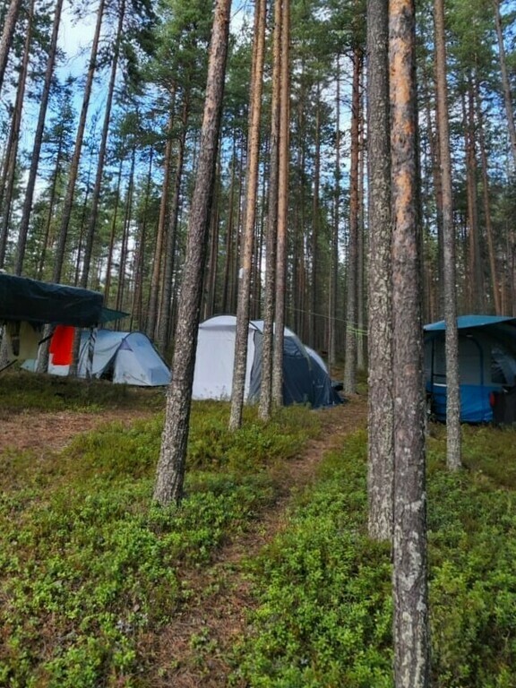undefined, отзывы покупателей, фото 1