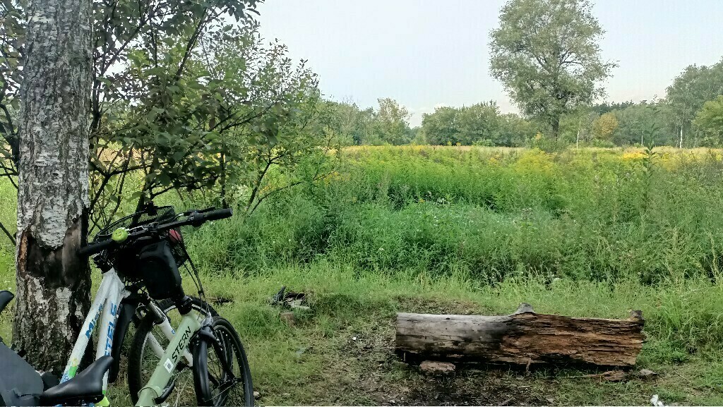 undefined, отзывы покупателей, фото 1