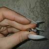 review photo mini