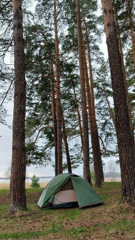 undefined, отзывы покупателей, фото 1