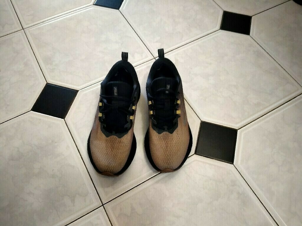 Кроссовки мужские FILA Bionix, отзывы покупателей, фото 1