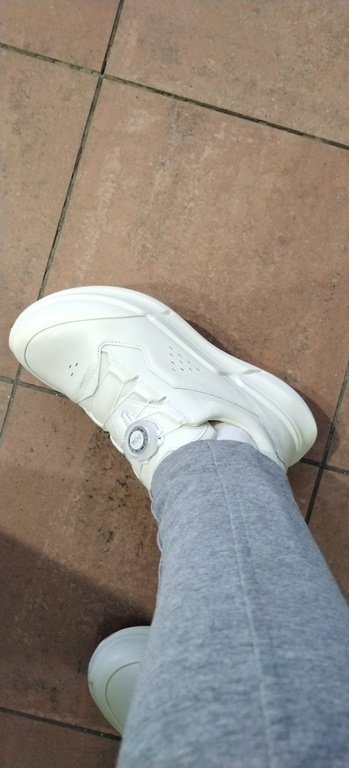 ECCO BIOM 2.2 W ECCO BIOM 2.2 W
