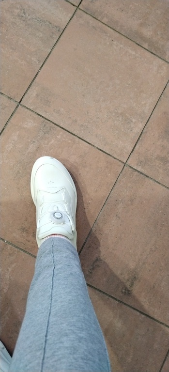 ECCO BIOM 2.2 W ECCO BIOM 2.2 W