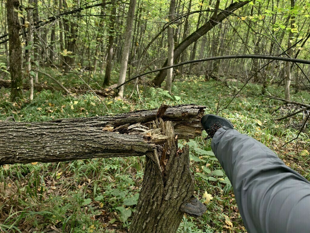undefined, отзывы покупателей, фото 2